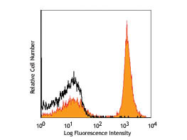 Anti-CD19 Phycoerythrin Conjugated, clone 6D5
