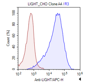 LIGHT-CHO Recombinant Cell Line