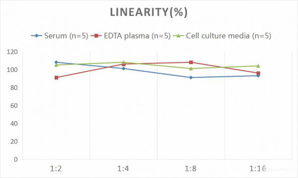 Human Hepc (Hepcidin) CLIA Kit