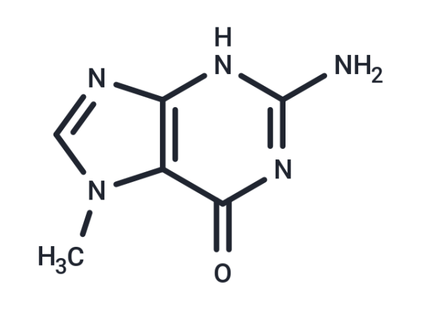 7-Methylguanine