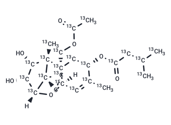 HT-2 Toxin-13C22