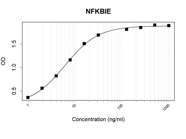 Anti-Human NFKBIE Antibody Pair