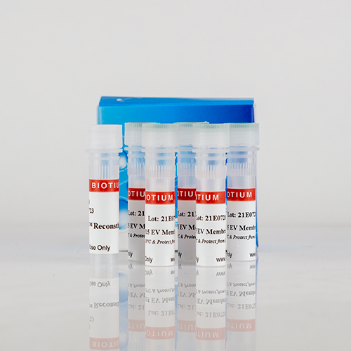 ExoBrite(TM) 490/515 WGA EV Staining Kit