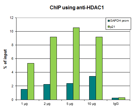 Anti-HDAC1
