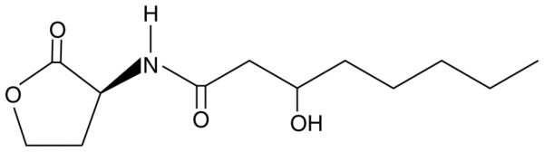 N-3-hydroxyoctanoyl-L-Homoserine lactone