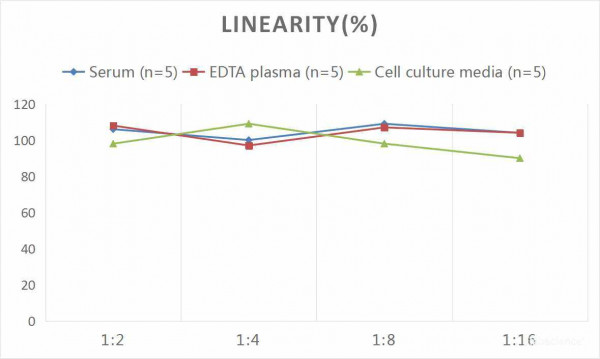 Human AGER (Total Advanced Glycosylation End Product Specific Receptor) CLIA Kit