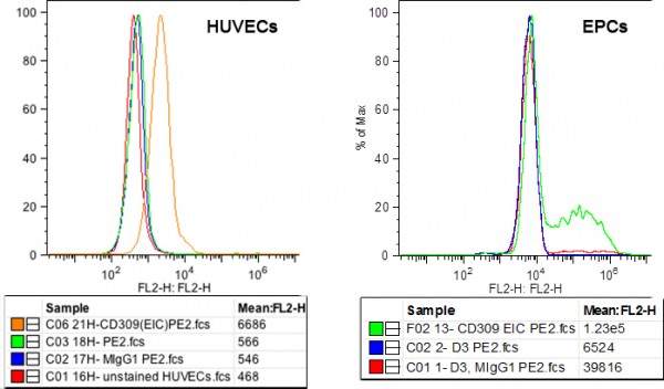 Anti-VEGFR-2/KDR (human), clone EIC