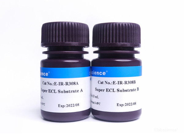 Super Excellent Chemiluminescent Substrate (ECL)Detection Kit