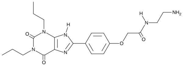Xanthine amine congener