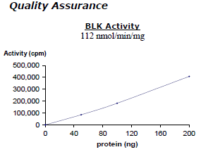 BLK, active human recombinant protein