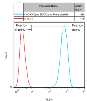 CHO-K1/cyno BDCA2 and FcER1G Stable Cell Line