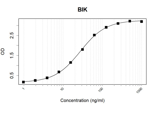 Anti-Human BIK Antibody Pair