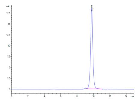 TNFRSF19, His, Human