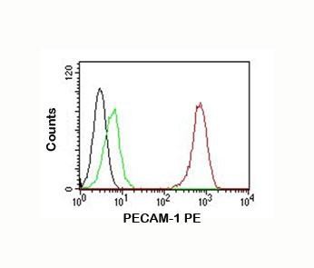 Anti-PECAM-1 PE Conjugate, clone C31.7