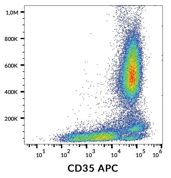Anti-CD35 / CR1 (APC), clone E11
