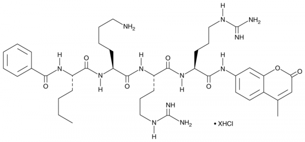 Bz-Nle-KRR-AMC (hydrochloride)