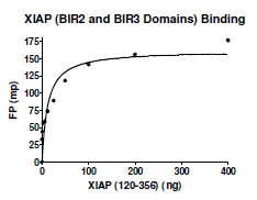 XIAP, Bir2-Bir3 Domains, His-Tag Recombinant