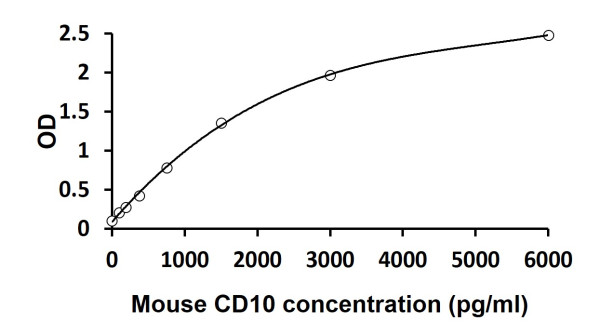 Mouse CD10 ELISA Kit