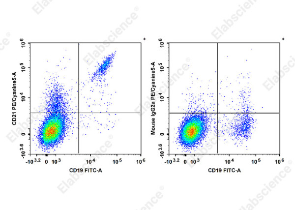 Anti-CD21 (human), clone HI21a, PE/Cyanine5 conjugated