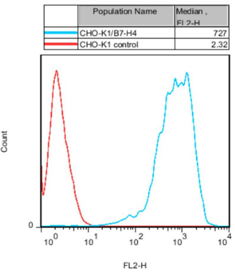 CHO-K1/B7-H4 Stable Cell Line
