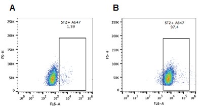 Anti-ST2 (human)