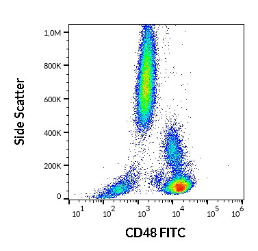 Anti-CD48, clone MEM-102 (FITC)