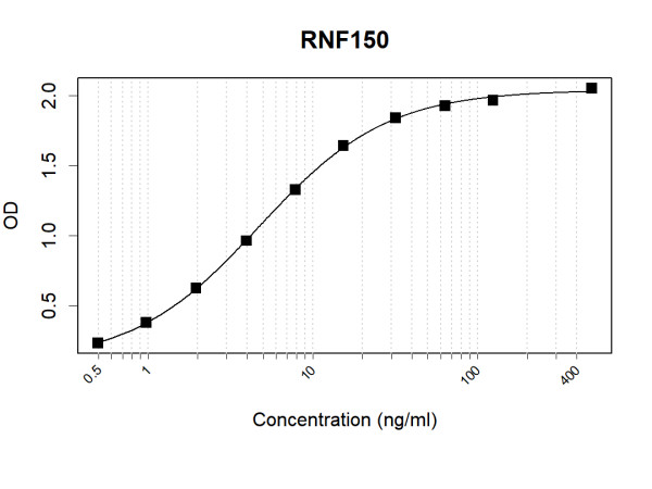 Anti-Human RNF150 Antibody Pair