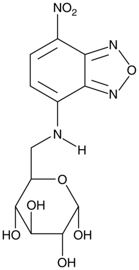 6-NBDG