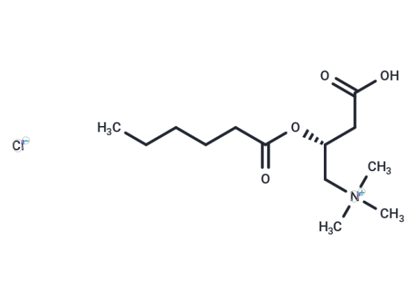 Hexanoyl-L-carnitine (chloride)