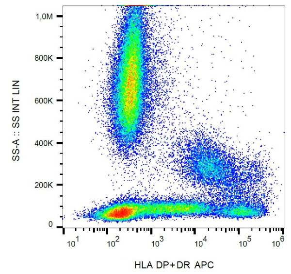 Anti-HLA-DR+DP, clone MEM-136 (APC)