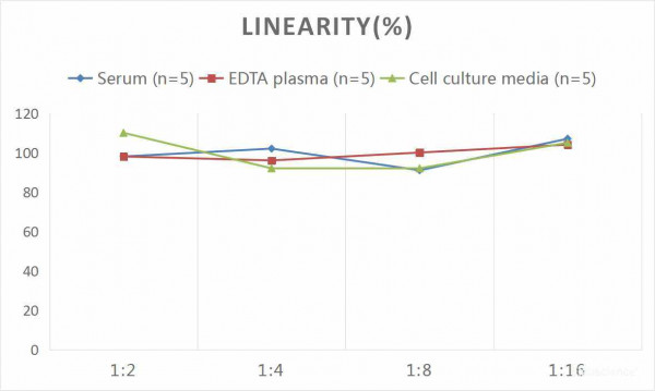 Mouse MCP-1 (Monocyte Chemotactic Protein 1) CLIA Kit