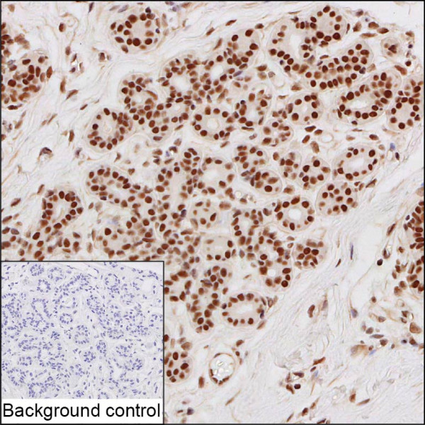 Anti-CPSF6