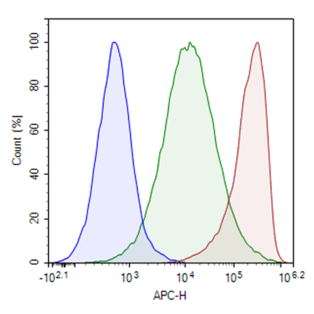 MRC2 CHO Cell Line (High Expression)
