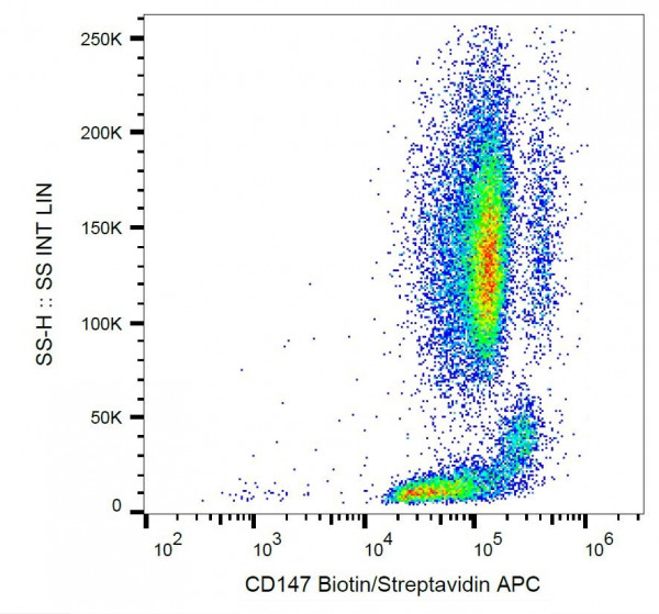 Anti-CD147, clone MEM-M6/1 (Biotin)