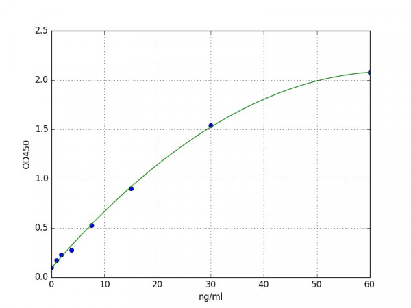 Human MEPE / Matrix extracellular phosphoglycoprotein ELISA Kit
