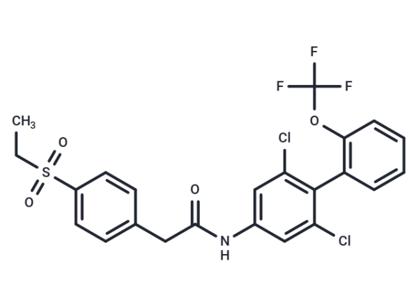 GSK805
