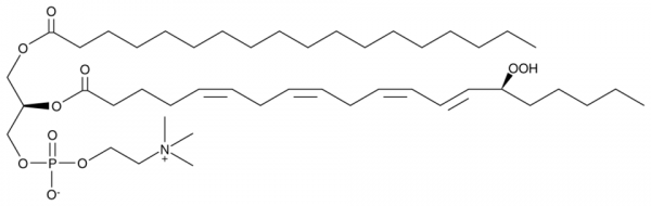 1-Stearoyl-2-15(S)-HpETE-sn-glycero-3-PC