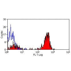 Anti-CD36 (FITC), clone MF3