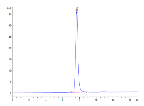 IGF2R Domain 1-7, His &amp; Avi, Human