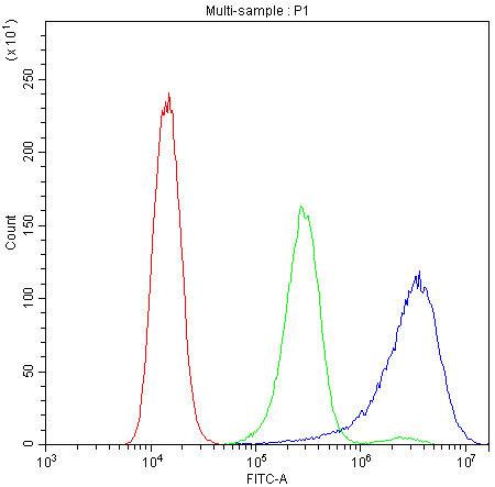 Anti-CD2AP