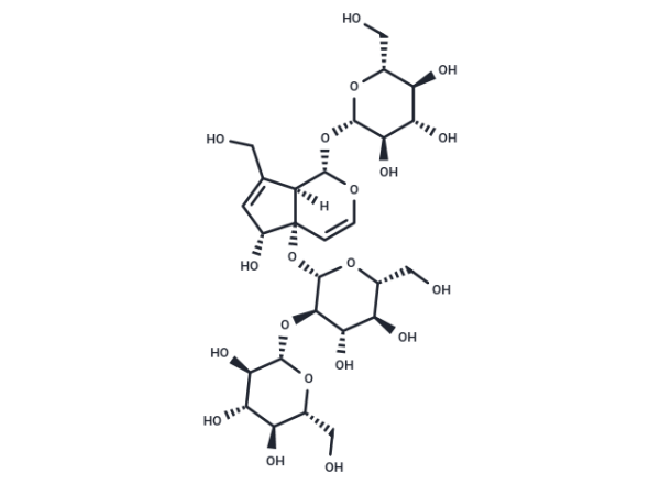 Rehmannioside D
