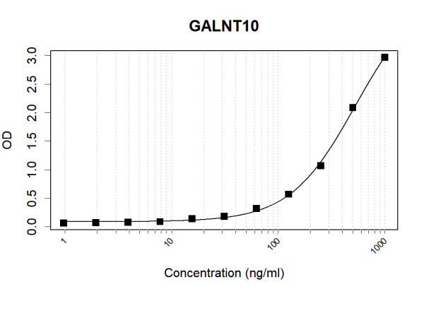 Anti-Human GALNT10 Antibody Pair