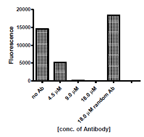 Anti-beta-Amyloid Neutralizing