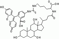 CLF [Cholyl-Lys-Fluorescein]