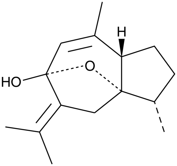 Curcumenol