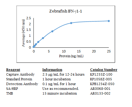 Anti-IFN (zebrafish) gamma 1-1, Biotin conjugated