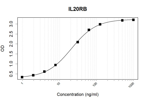 Anti-Human IL20RB Antibody Pair