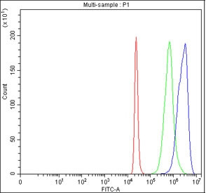 Anti-HAOX2 / Hydroxyacid oxidase 2 / HAO2
