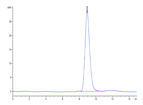 Fibronectin (32-345), His, Human