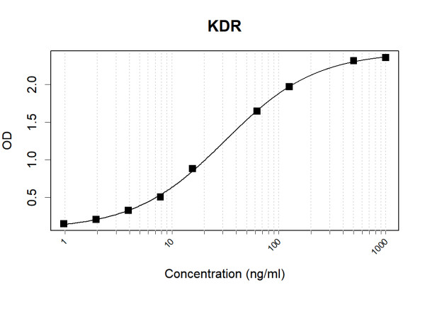 Anti-Human VEGF Receptor 2 Antibody Pair